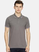Men's Plain grey tipping Polo T-shirt