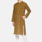 PAROKSH Men olive checkered cotton Straight Kurta